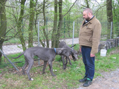 Doggentreffen Wuppertal 066