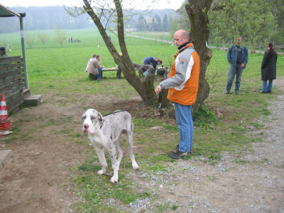 Doggentreffen Wuppertal 162