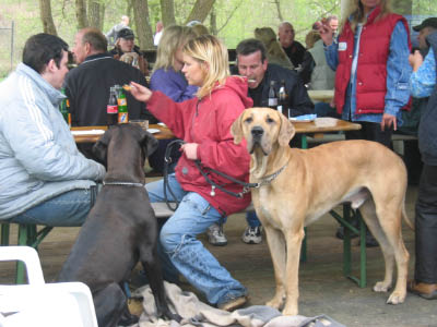 Doggentreffen Wuppertal 179